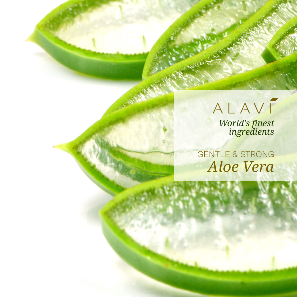 Aloe Vera - gentle & strong